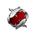 Jumbo Koi �ber 75cm
