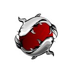 Koi