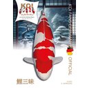 Koi Magazin Koi Zanmai Internationales Nishikigoi Magazin...