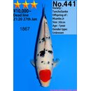 Dainichi Very High Quality Tancho Sanke MSanke.Jr 32cm...