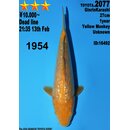 Dainichi Toyota High Quality Karashi Yellow Monkey 30cm...