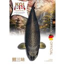 Koi Magazin Koi Zanmai Internationales Nishikigoi Magazin...