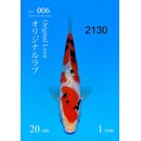 Sakai SFF VHQ Sanke 20cm geb. 2026  Aus Sakai Auktion /...