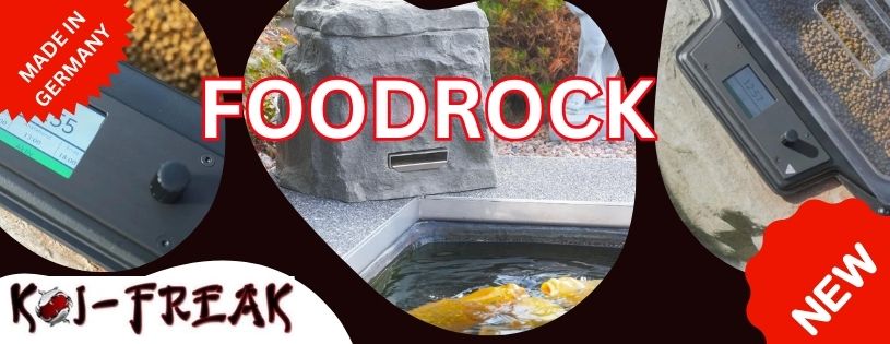 The Food Rock Futterautomat Made in Germany